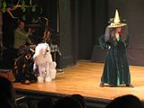 IMG_5778.jpg image by Techitone